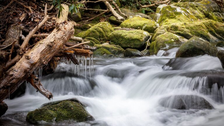 Nastolatka o mało nie umarła po wypiciu wody ze strumienia górskiego