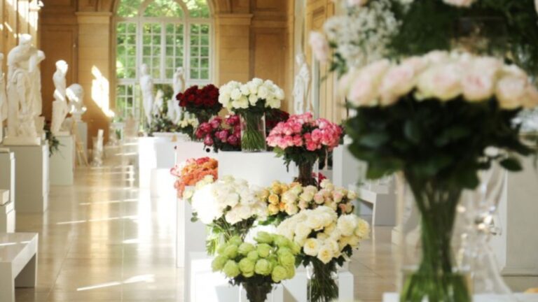 wystawa-royal-rose-2025-w-lazienkach-krolewskich